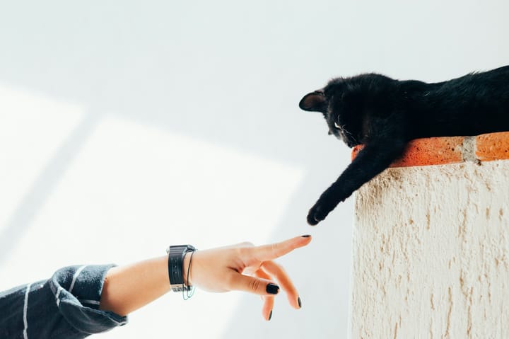 Photo by Humberto Arellano on Unsplash